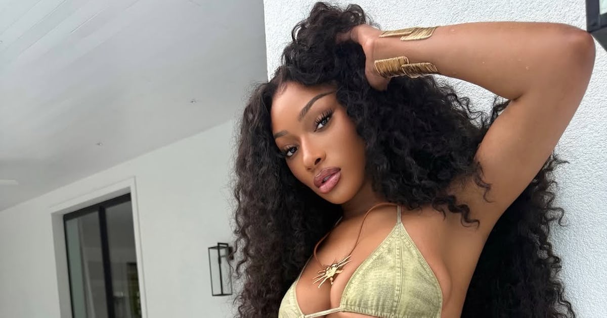 Megan Thee Stallion's Underboob-Baring Bikini Has The Most Unexpected Print