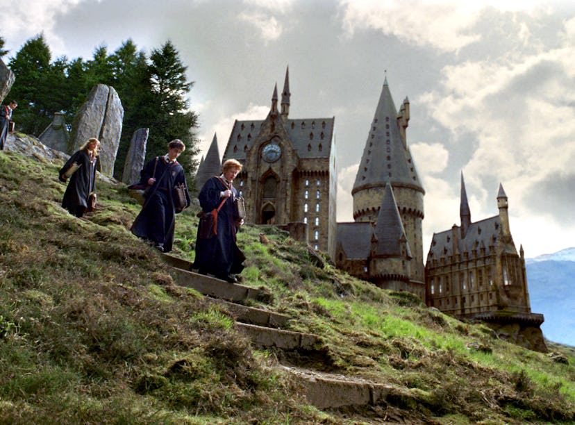 HBO's TV adaptation of 'Harry Potter' includes a whole new cast.
