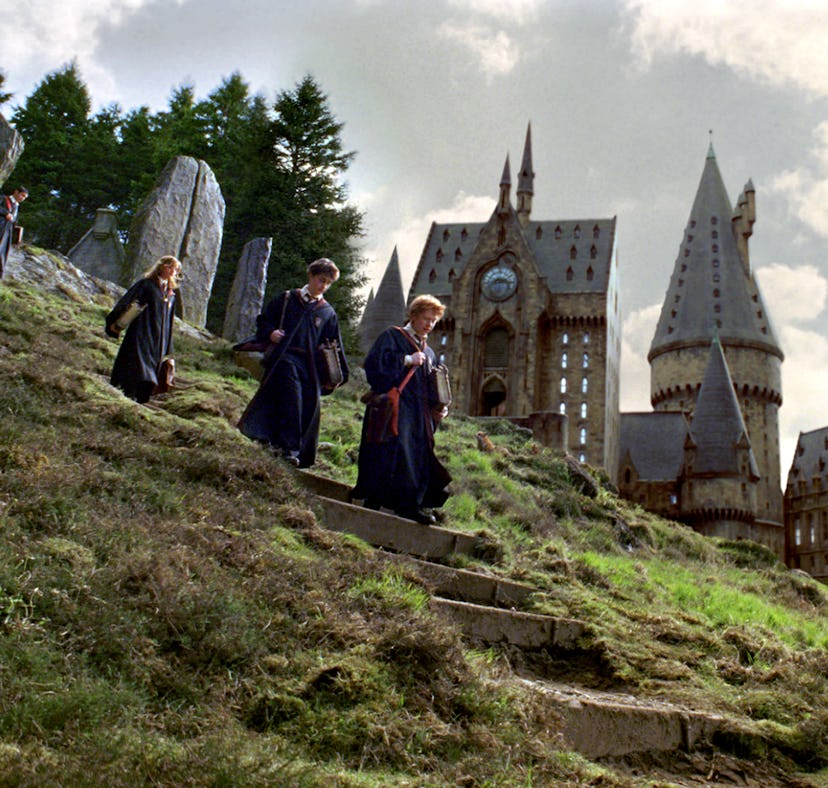HBO's TV adaptation of 'Harry Potter' includes a whole new cast.