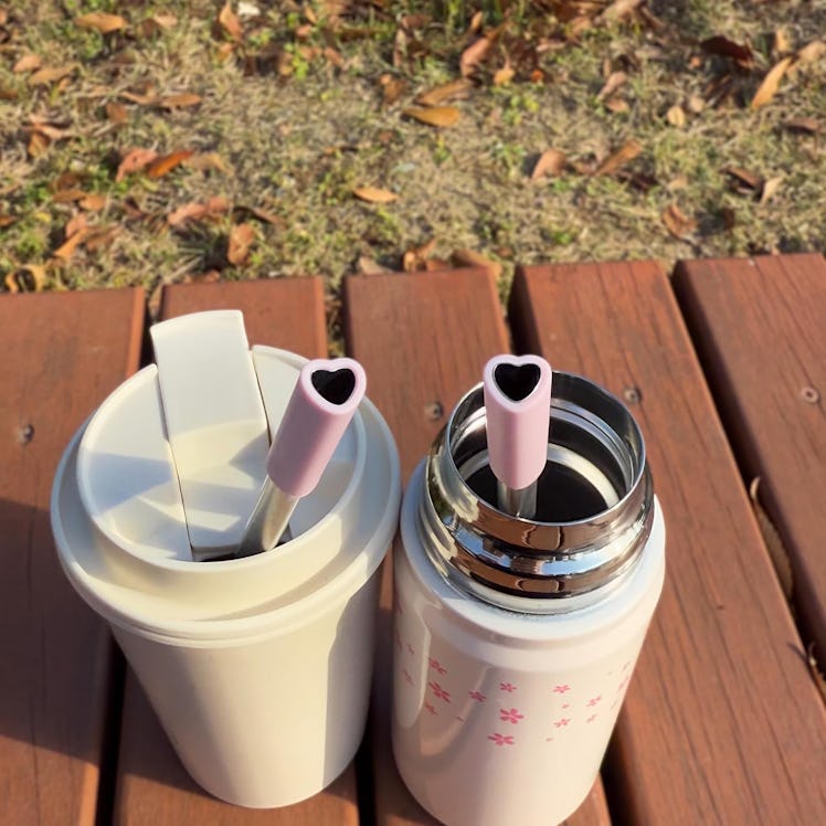 MOON Heart Shaped Reusable Metal Straw (4-Pack)
