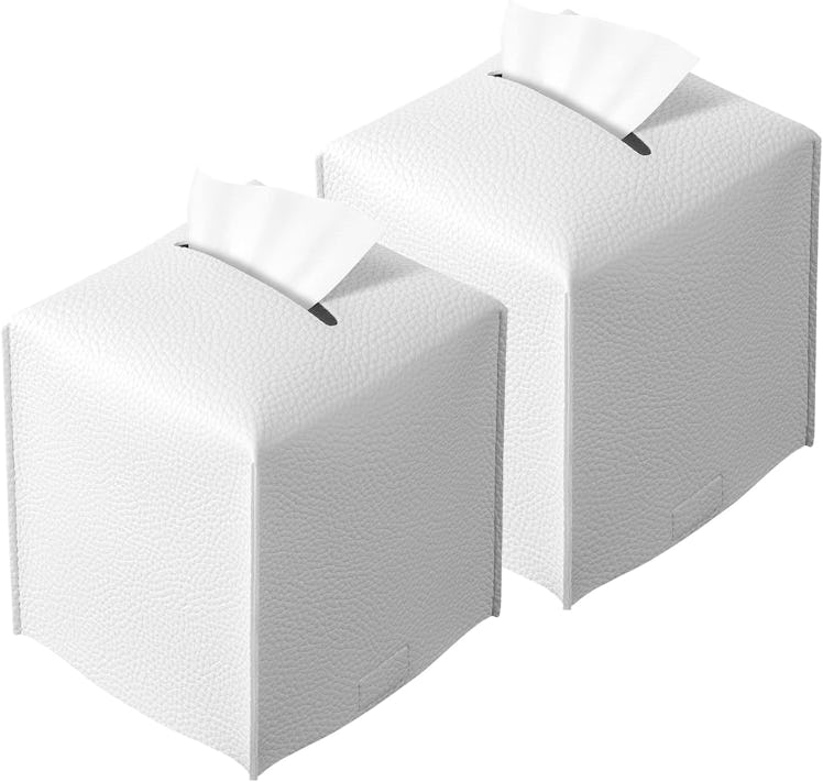 REGELETO Tissue Box Cover (2-Pack)