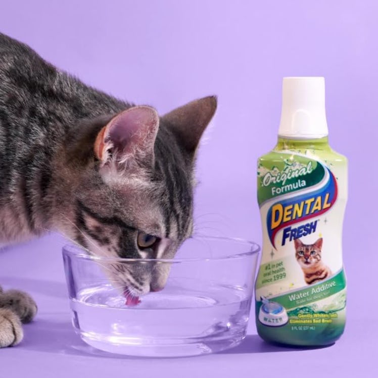 Dental Fresh Water Additive
