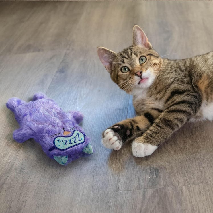 Catstages Purr Pillow Kitty Calming Cat Toy