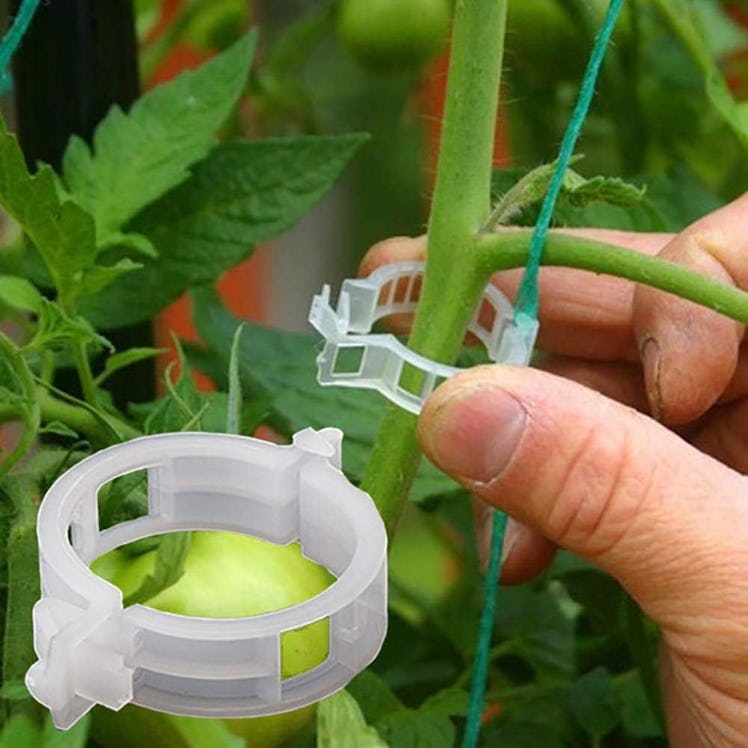 Winmany Plant Support Clips (100-Pack)
