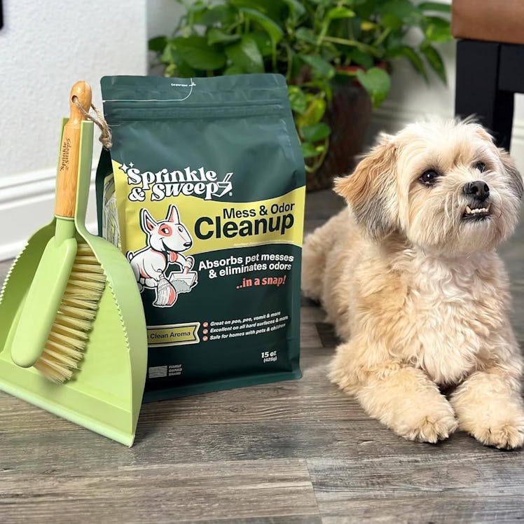 Sprinkle & Sweep Dog Pee Cleaner