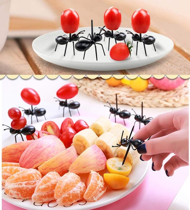 OOTSR Ant Toothpicks (24 Count)
