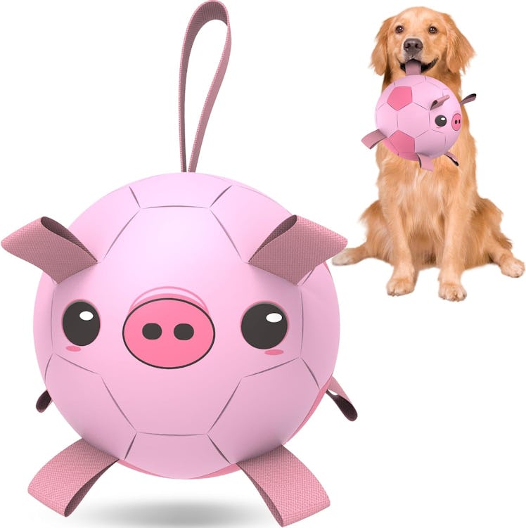 QDAN Toy Soccer Ball