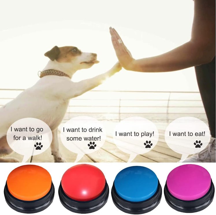 Artist Unknown Voice Recording Buttons (4-Pack)