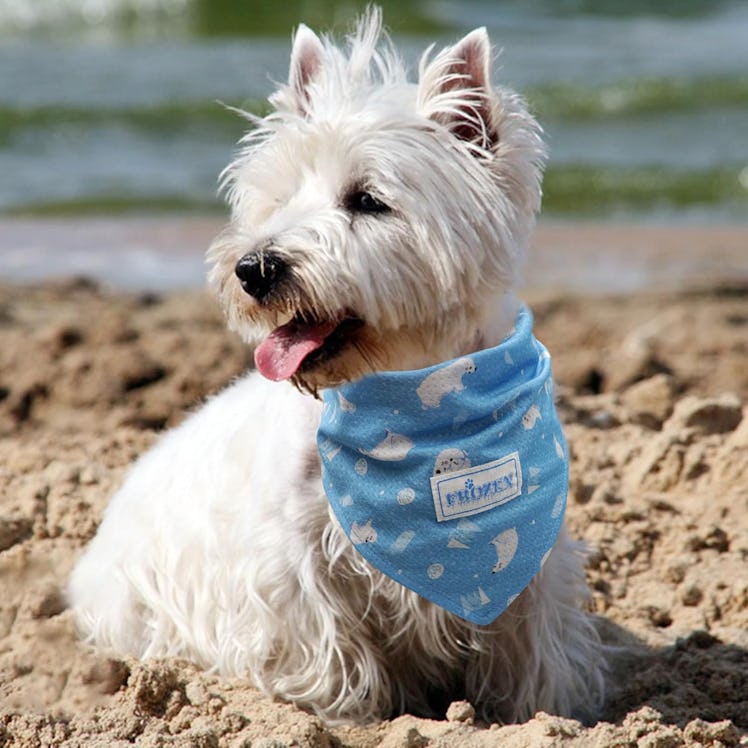 KYEESE Instant Cooling Bandanas (2-Pack)