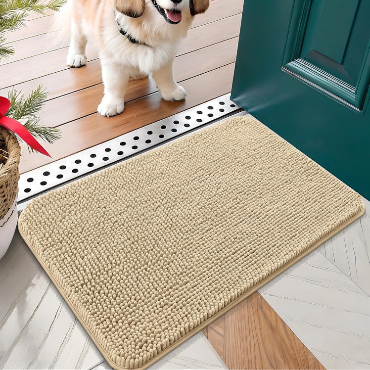 OLANLY Dog Door Mat 
