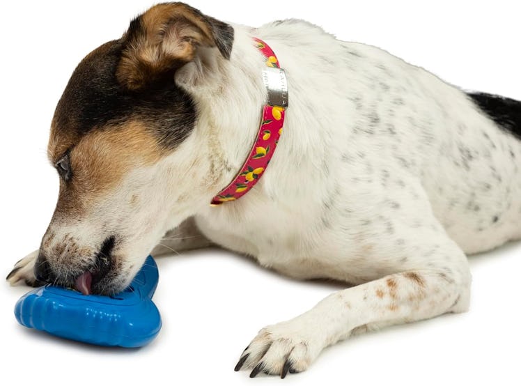 PetSafe Chilly Penguin Freezable Dog Toy 