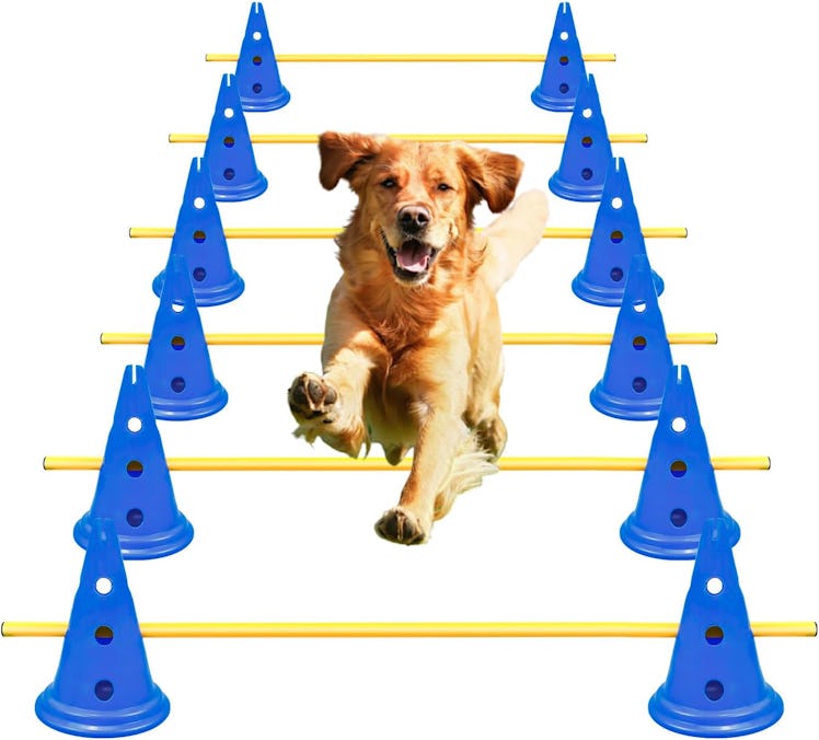 AEDNX Dog Agility Hurdle Set
