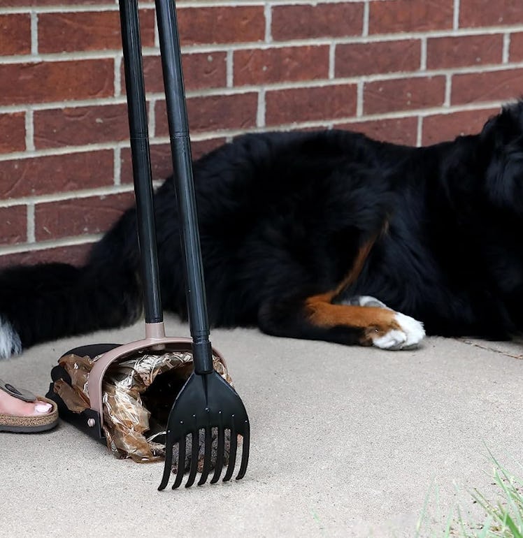 Arm & Hammer Dog Pooper Scooper