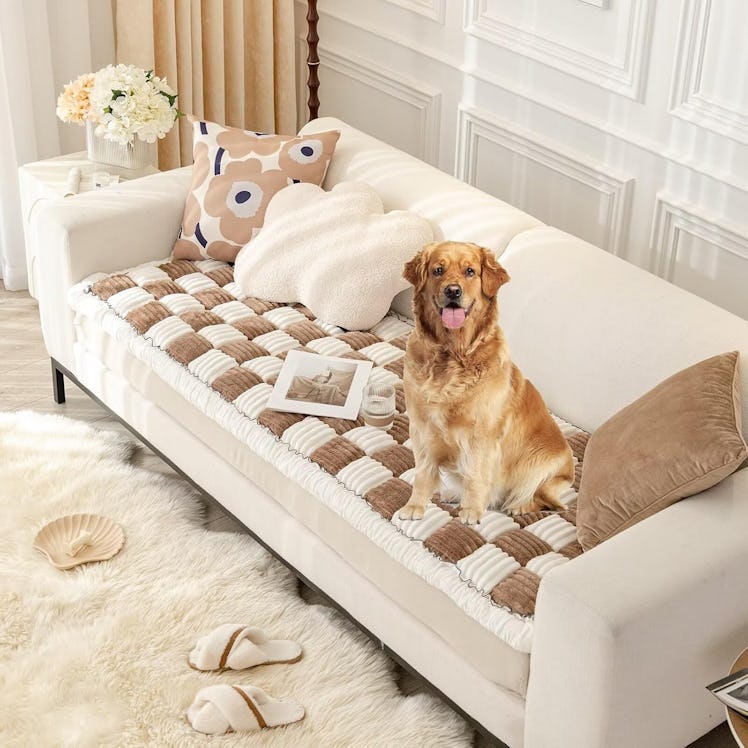 Amtarp Dog Couch Cover