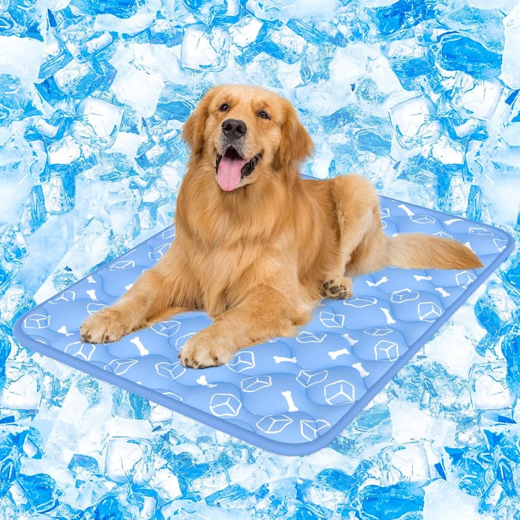 Rywell Dog Cooling Mat
