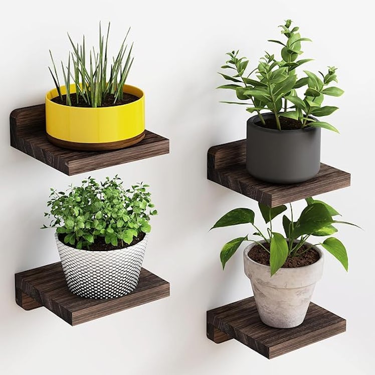 Fixwal Small Floating Shelves