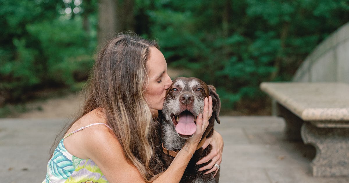 What Is A "Soul Dog"? How To Know If You've Met Yours