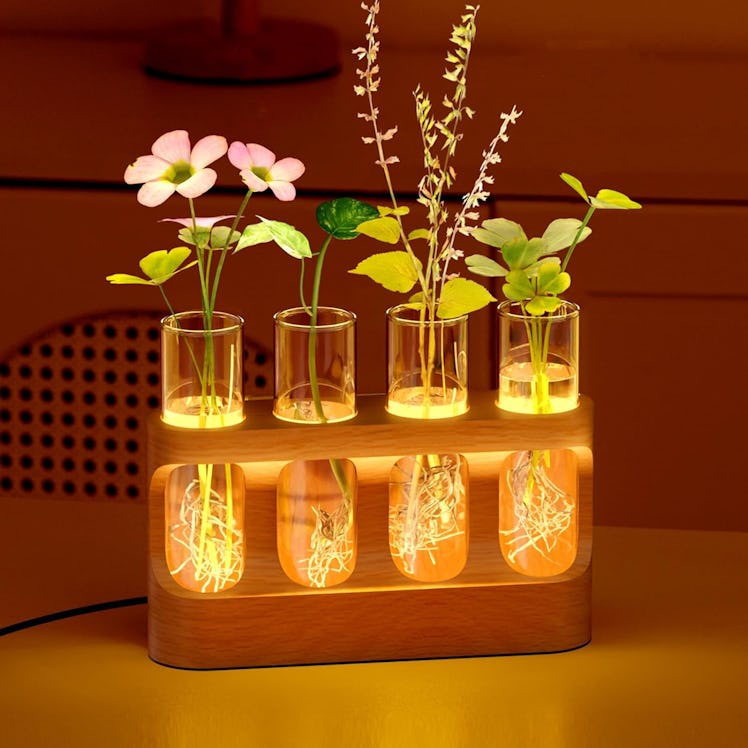 Giunn Plant Propagation Station 