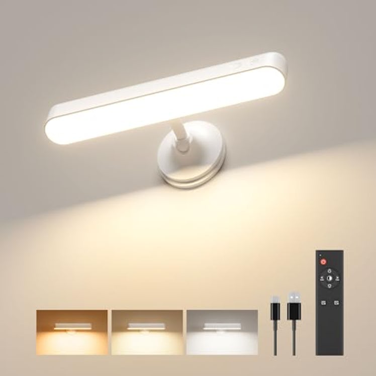 PopoIron LED Vanity Wall Sconce