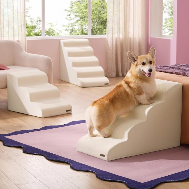 Lesure Dog Stairs 