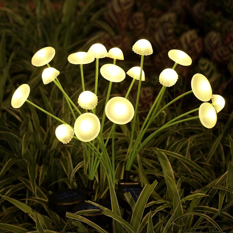 Rieyue Solar Garden Lights (2-Pack)