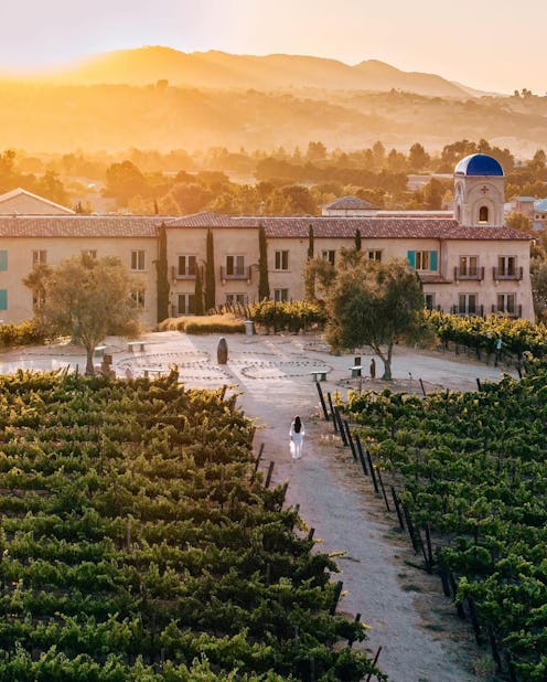 paso robles wine country travel guide