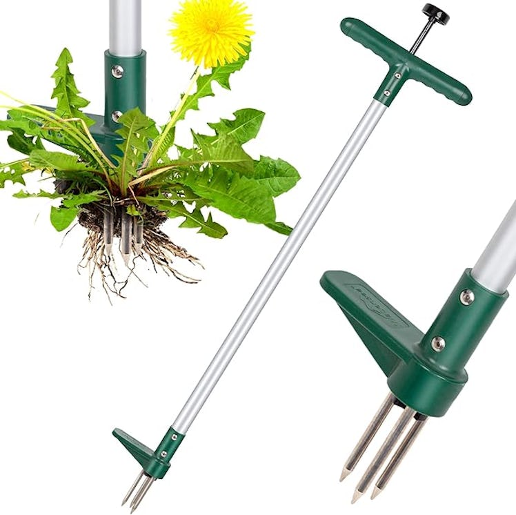 Walensee Weed Puller