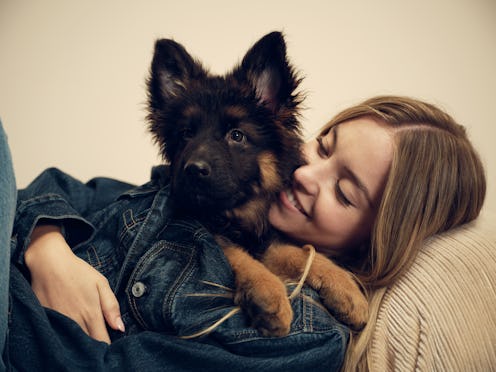 sydney sweeney american eagle dog