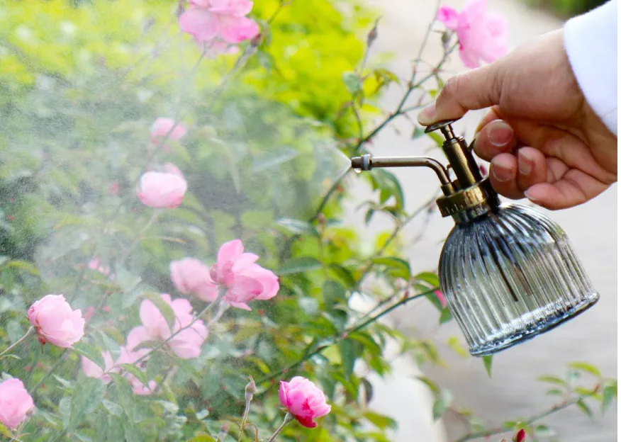 OFFIDIX Plant Mister