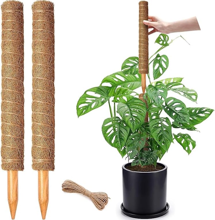 CHIAFFI Moss Poles (2-Pack)