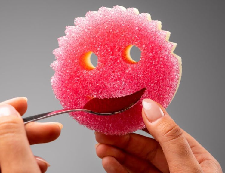 Scrub Daddy Scrub Mommy Sponges (3 Count) 