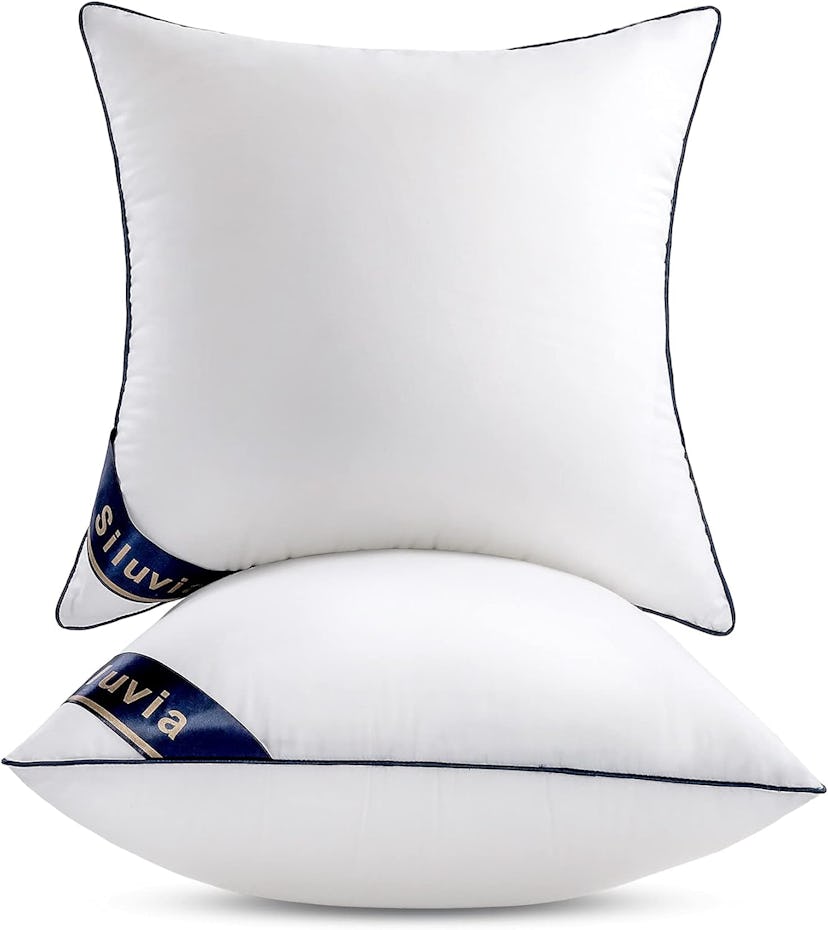 Siluvia Throw Pillow Inserts (2-Pack)