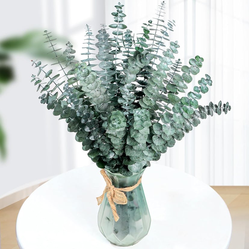 Eslibin Real Dried Eucalyptus Stems (21 Pieces)