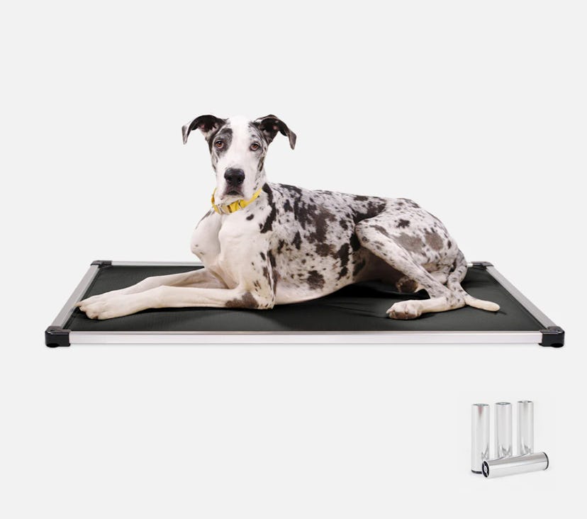 K9 Ballistics Padded Dog Crate Bed