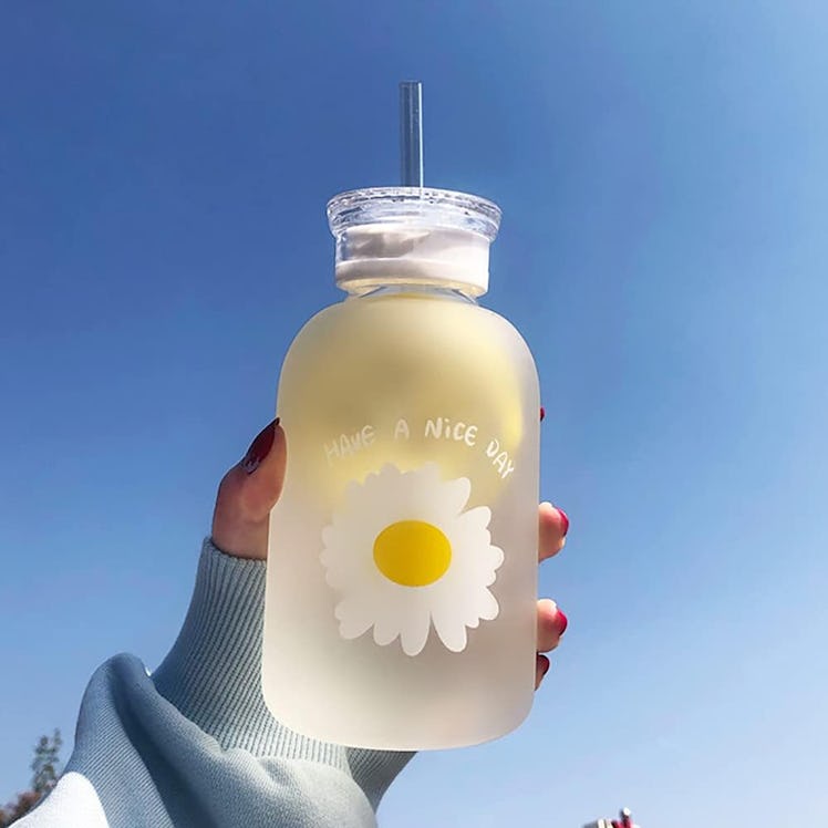 JZSMY Glass Water Bottle 