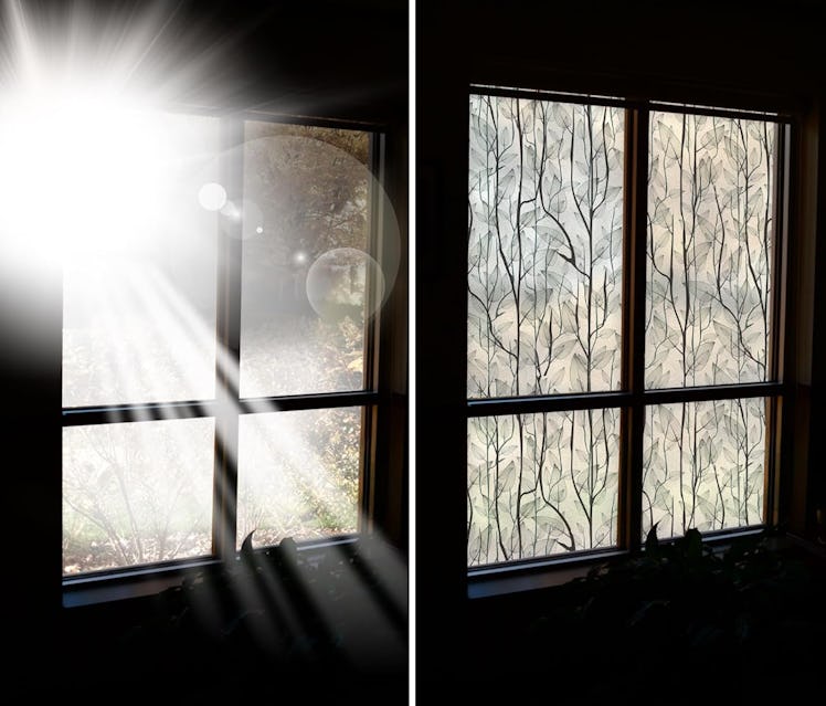 DKTIE Greenery Privacy Window Film