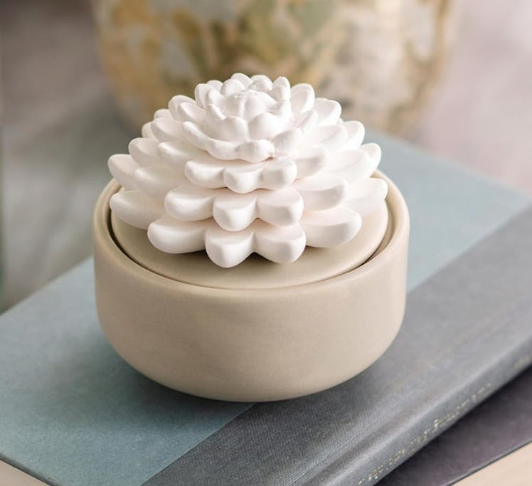 Airomé Succulent Stone Diffuser 