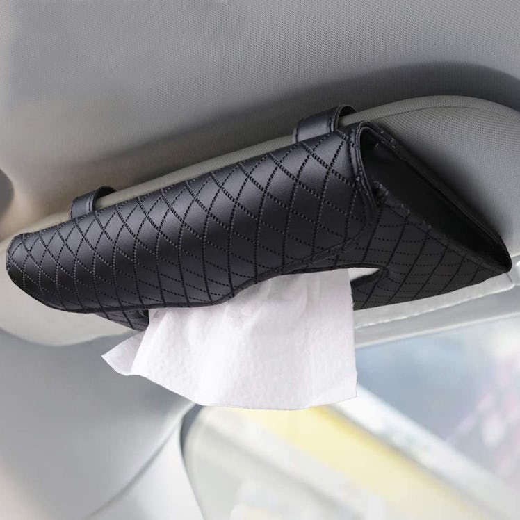 Cartisen Car Tissue Holder