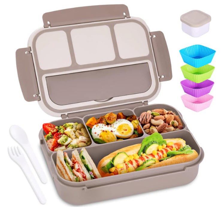 Shell And Turtle Bento Box