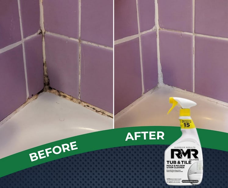 RMR Brands Tub and Tile Mold and Mildew Stain Remover