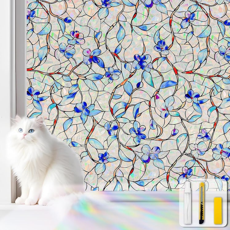 somwise Window Privacy Film