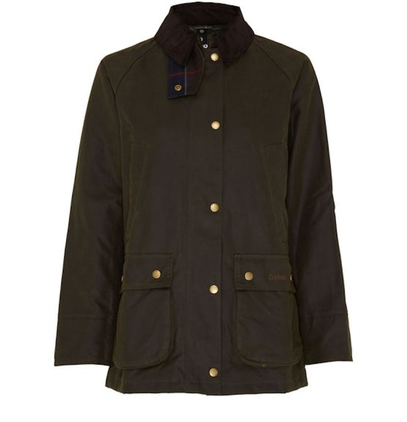 Acorn Jacket