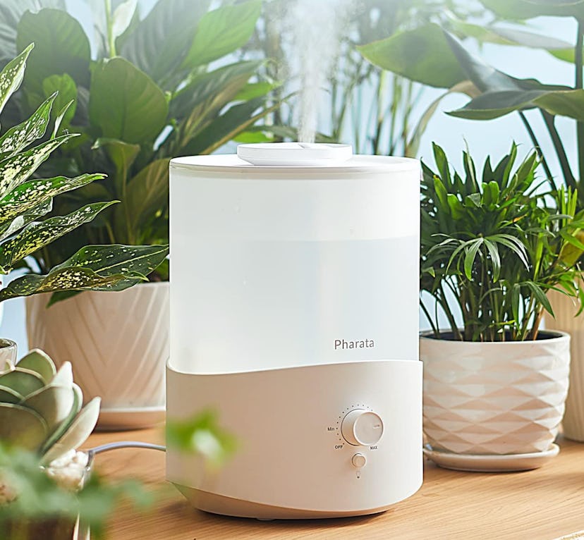 Pharata Cool Mist Humidifier with Essential Oil Diffuser