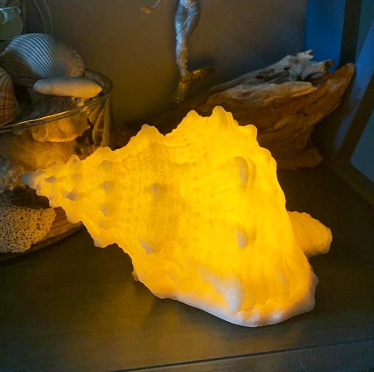 CICINY Conch Shell Night Light