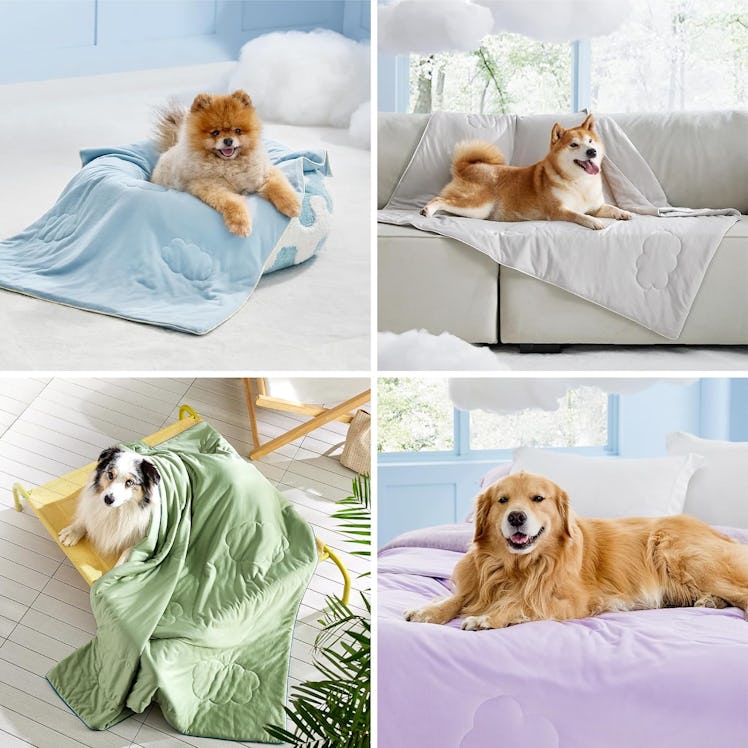 LE SURE Washable Cooling Blanket for Pets