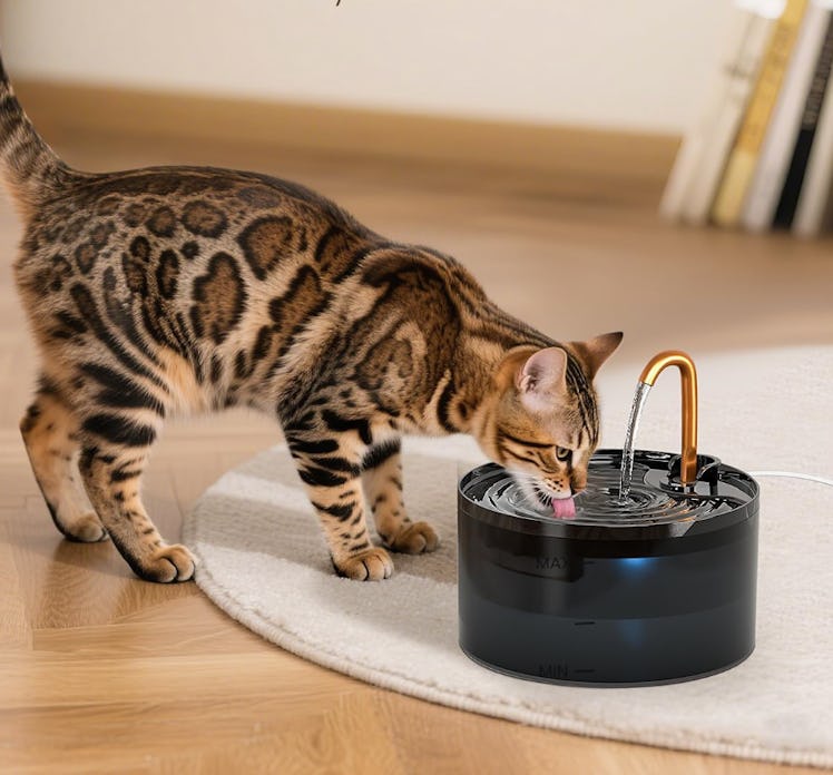 MISFANS Pet Water Fountain