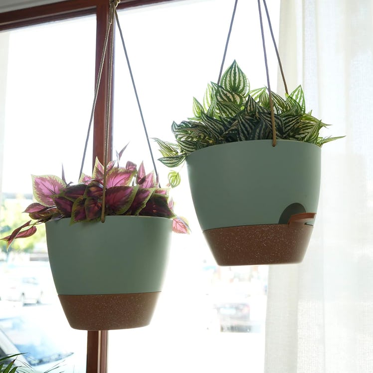 SwinDuck Self Watering Hanging Pots (2-Pack)