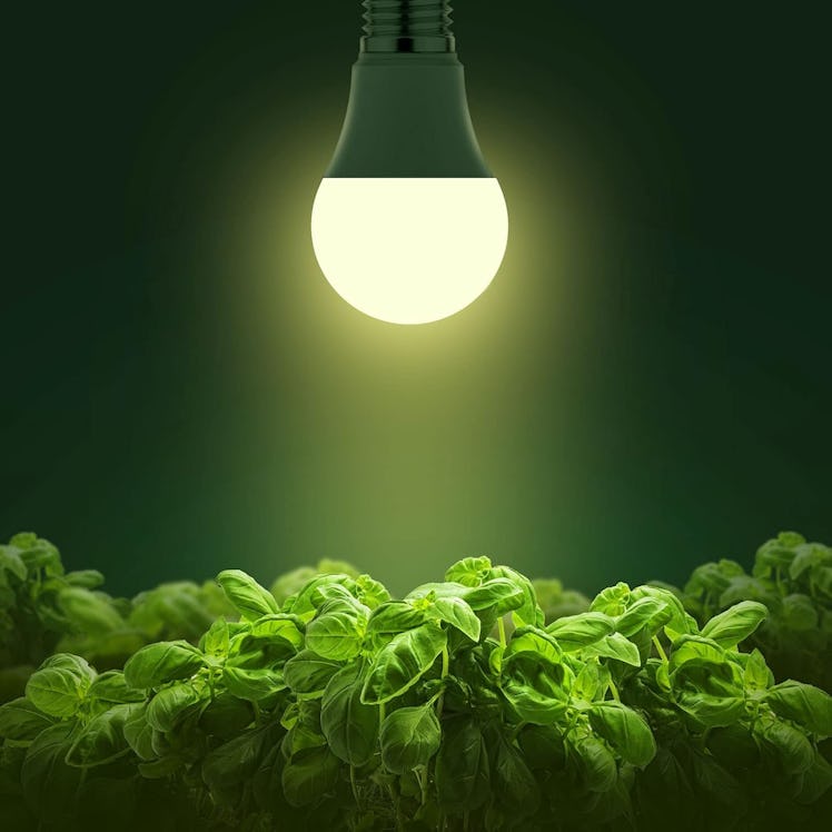 Briignite Grow Light Bulbs (2-Pack)