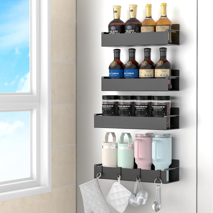 HuggieGems Magnetic Spice Rack (4-Pack)