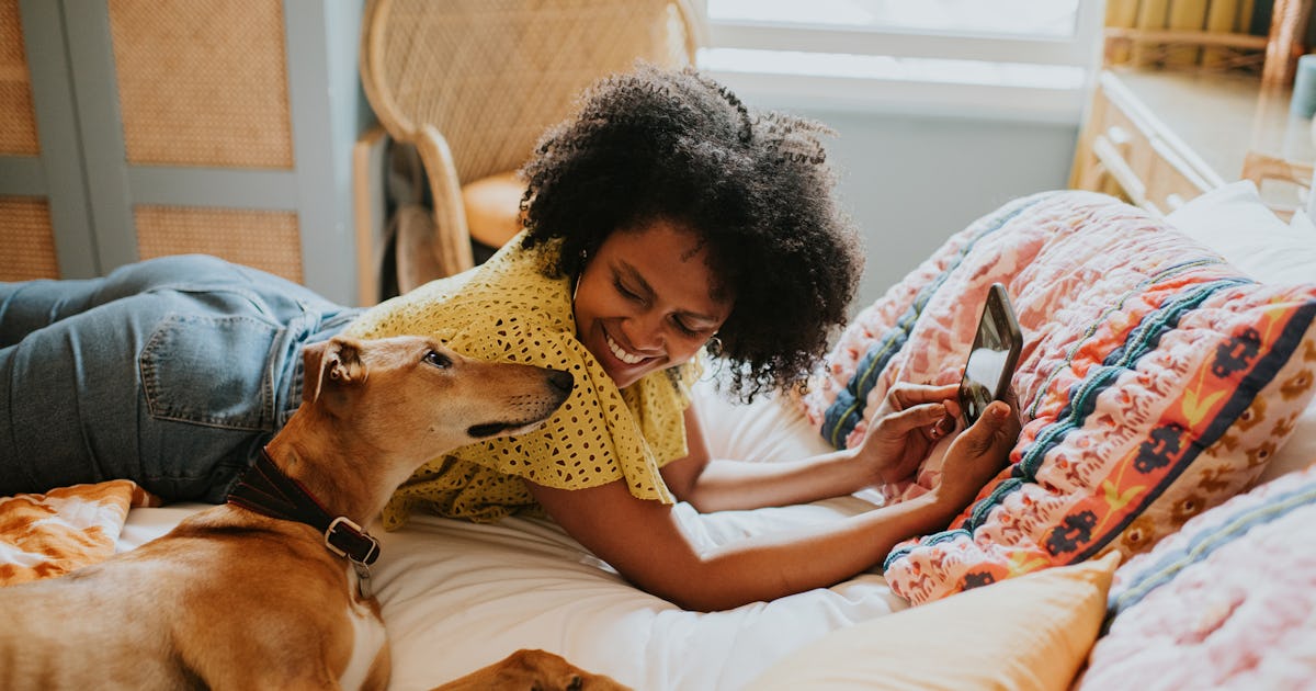 6 Surefire Signs Your Dog Thinks They're Your Roommate